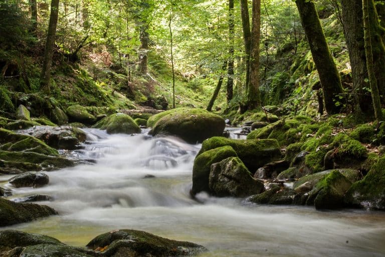 Comisión de Ambiente dictamina nueva Ley de Aguas y la envía a Plenario