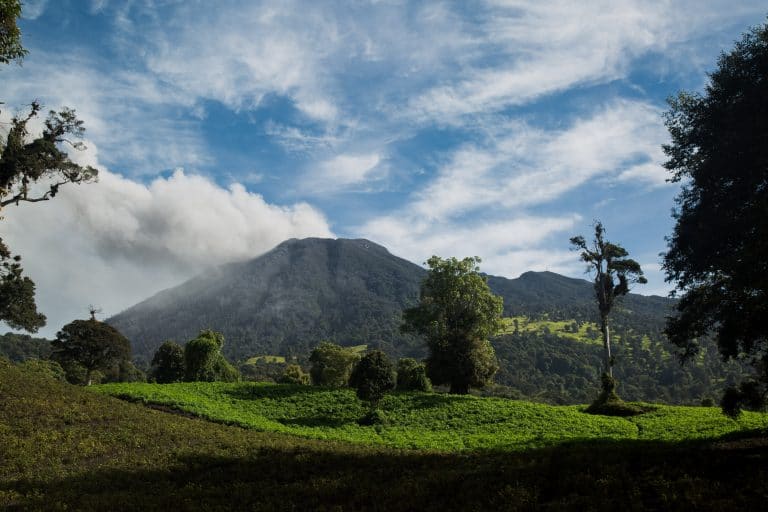 Parque Nacional Volcán Turrialba protagoniza nueva emisión postal en aniversario