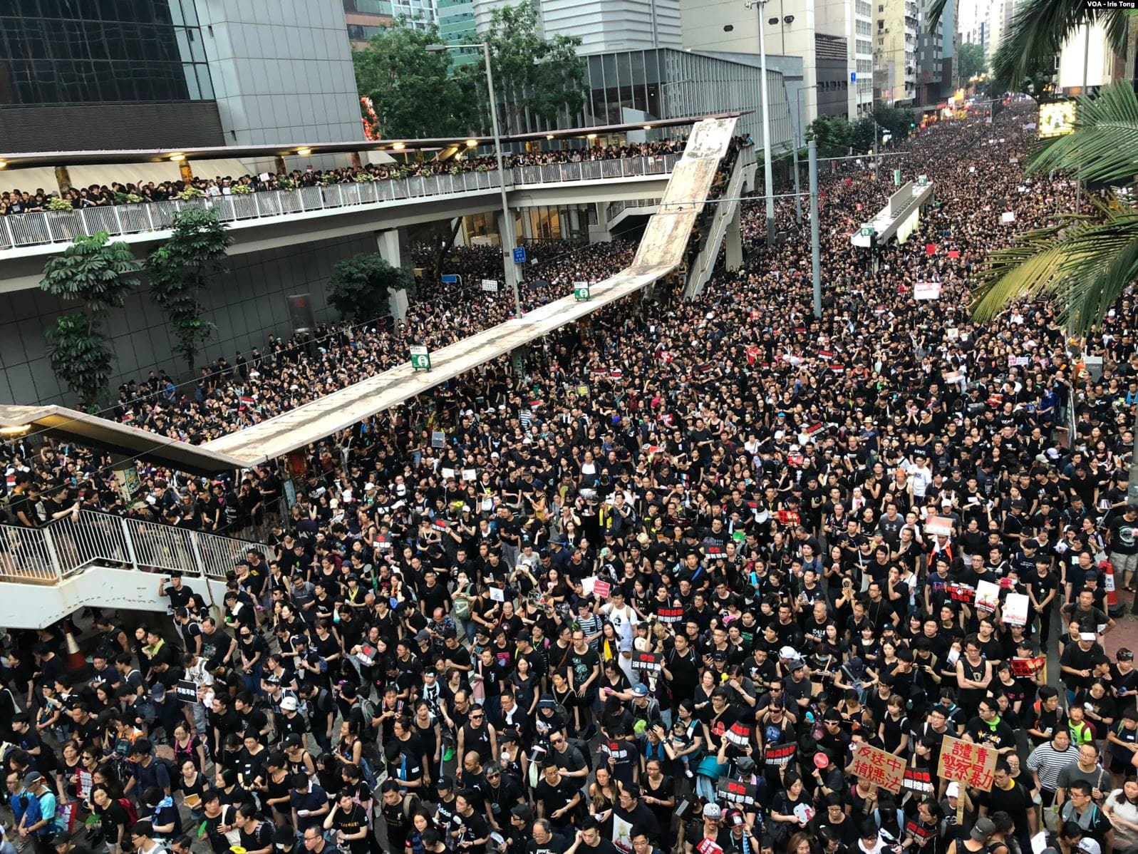 Imagen principal del artículo: Conflictos escalan en Hong Kong, Gaza e Israel; EE.UU retiene cifra récord de menores migrantes