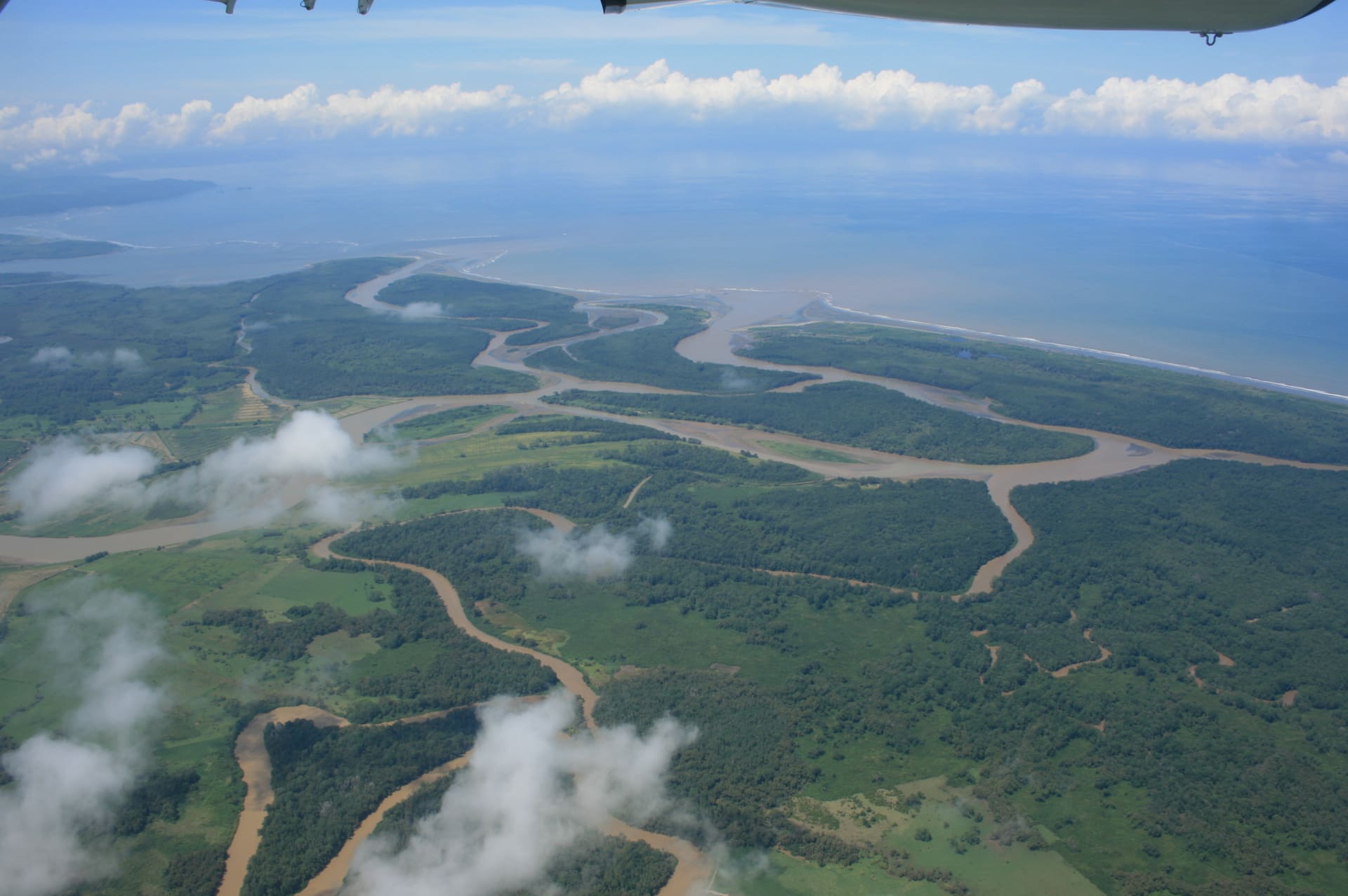 Imagen principal del artículo: MINAE retira viabilidad ambiental a proyecto piñero en las cercanías del humedal Térraba-Sierpe