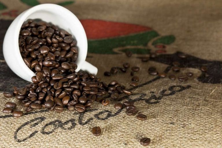Crean plataforma de apoyo para mujeres productoras de café afectadas por la COVID-19