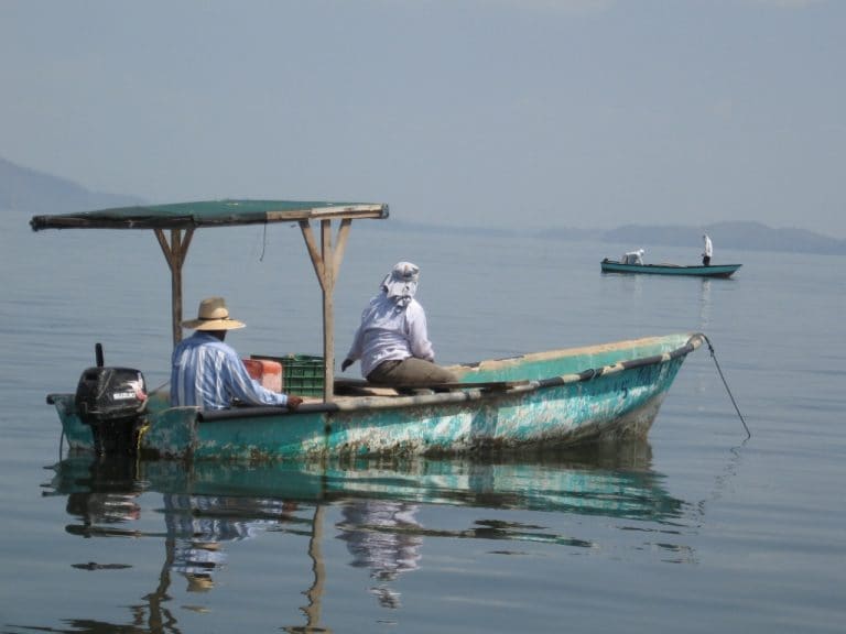 Incopesca da marcha atrás con acuerdo que perjudicaba a especies en peligro y a pescadores artesanales
