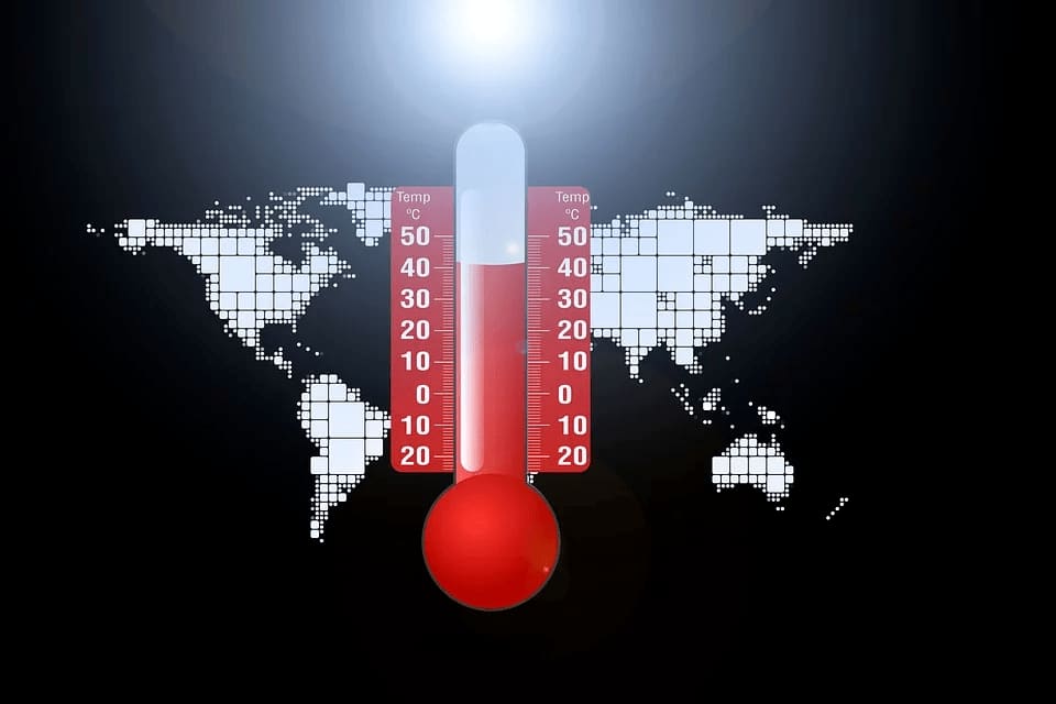 Imagen principal del artículo: En 2019 el calentamiento global tuvo consecuencias sobre la salud, la naturaleza y el hogar de millones de personas