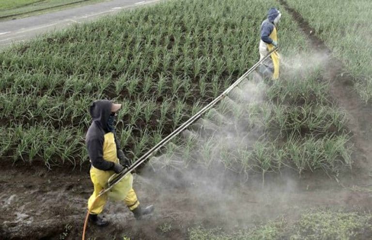Propuesta para simplificar trámites en agroindustria enfrenta a ecologistas con el Gobierno