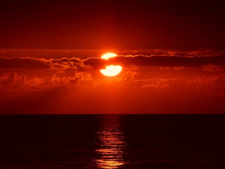 Luces rojas se encienden en la pesca de palangre