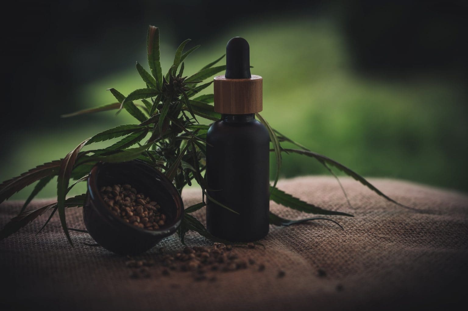 Imagen principal del artículo: Mitos y verdades sobre la producción de cannabis
