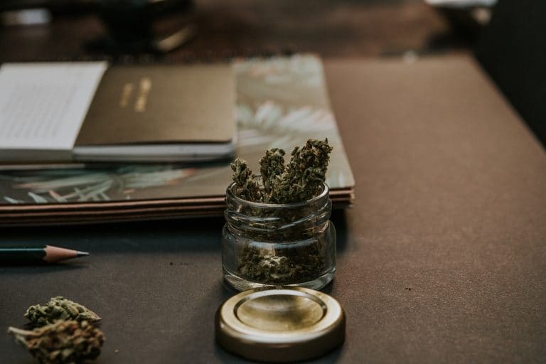 Cannabis, hablando sobre verdades a medias sobre esta planta