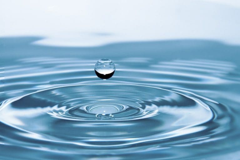 Agua: amenazas, vida y esperanzas…