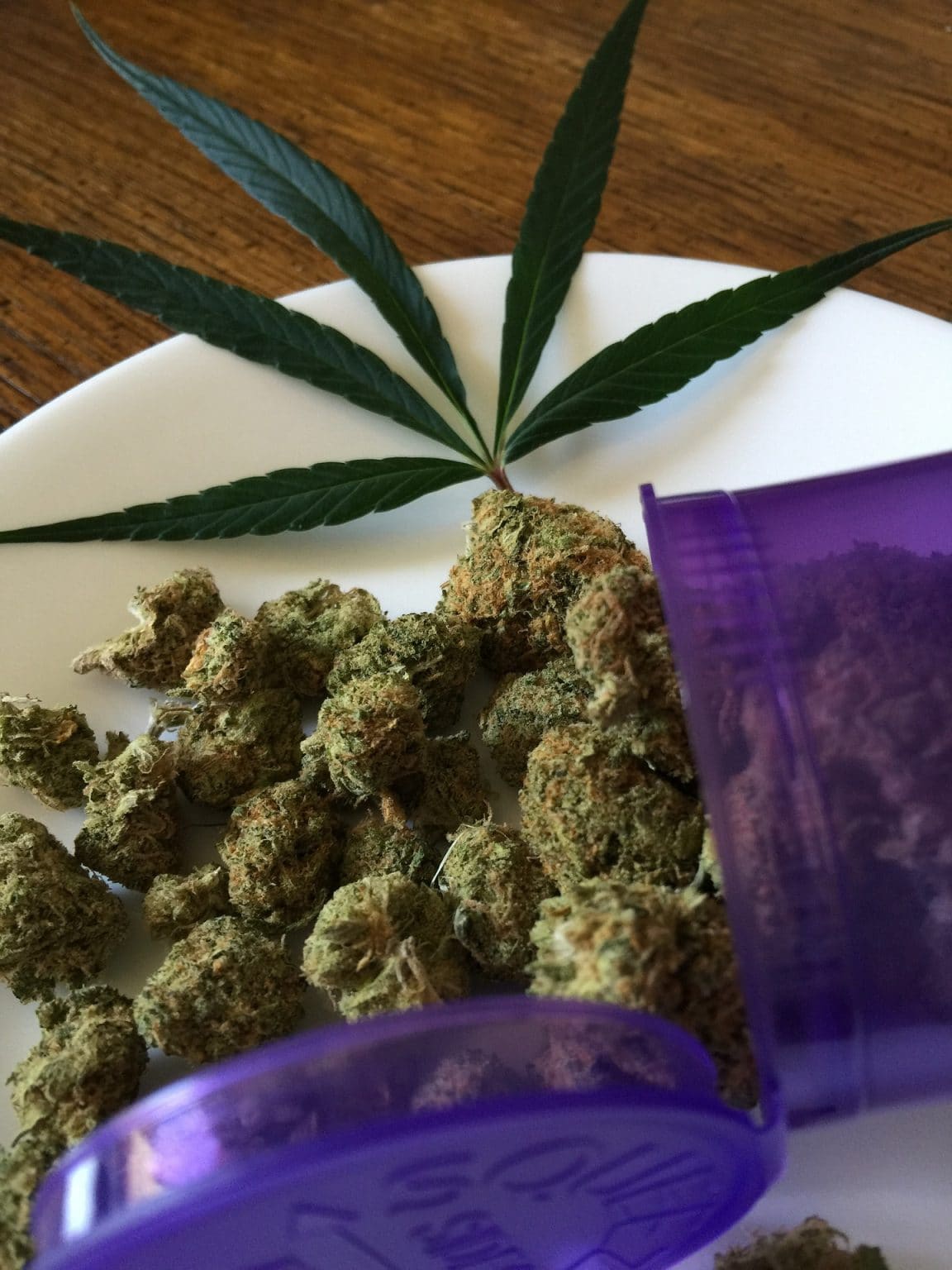 Imagen principal del artículo: Los mitos y verdades que acompañan a una planta como el cannabis