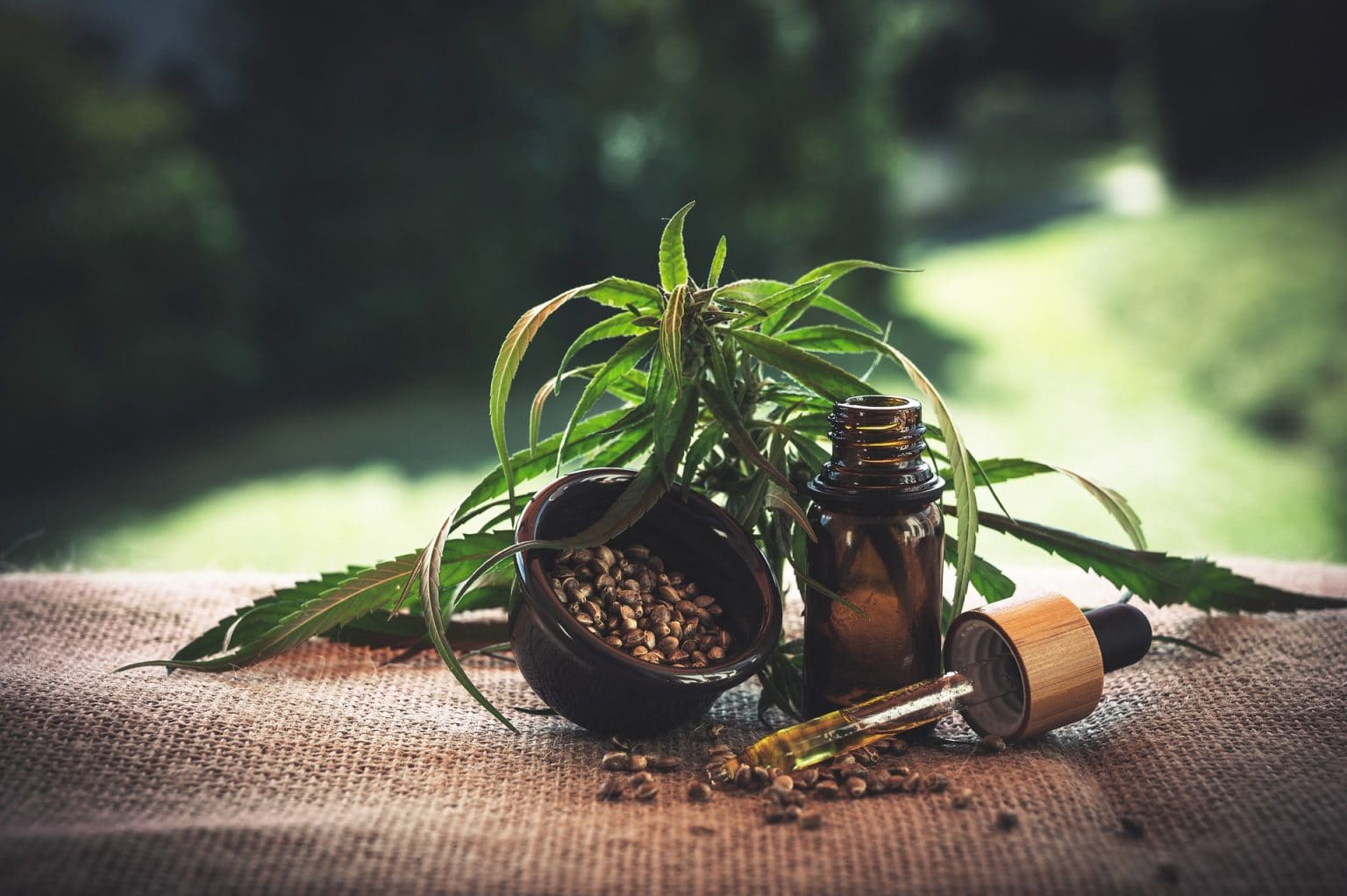 Imagen principal del artículo: Cannabis medicinal y #CentralAmericanLivesMatter