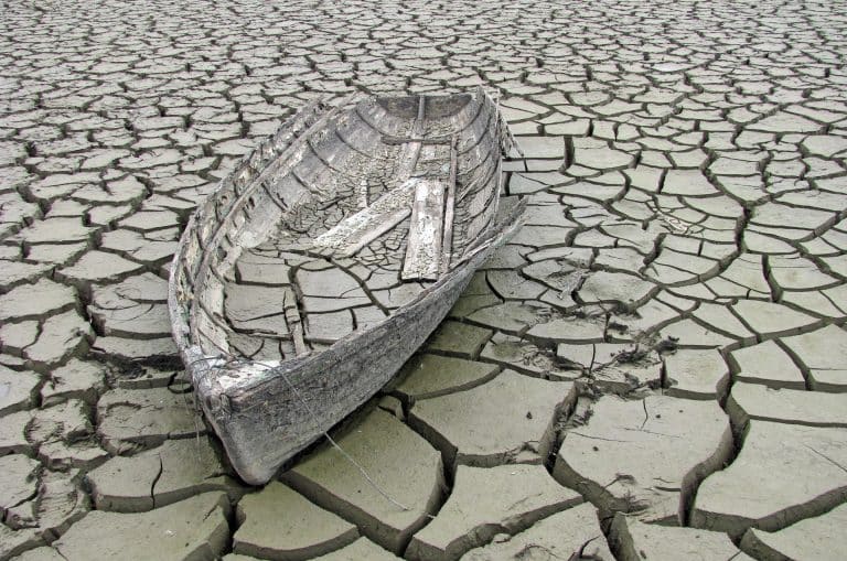 ¿Por qué poner fin a los subsidios negativos a la pesca?