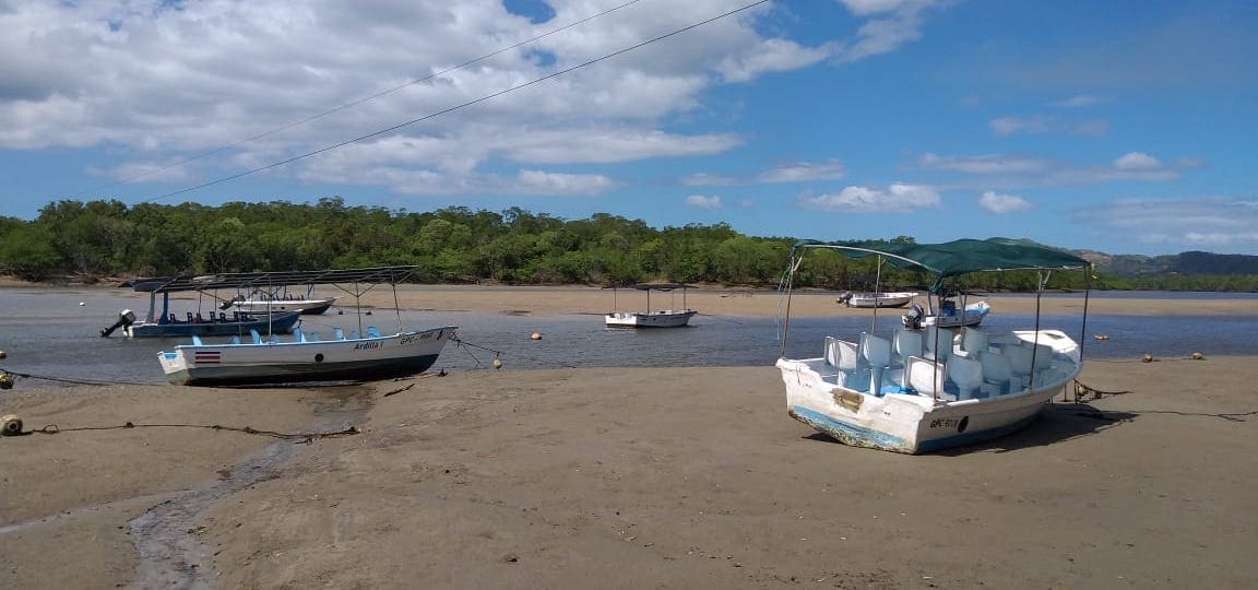 Imagen principal del artículo: Sector turismo se indigna ante nuevo cobro de admisión en Parque Nacional Marino Las Baulas