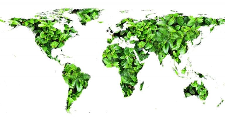 Derechos humanos ambientales
