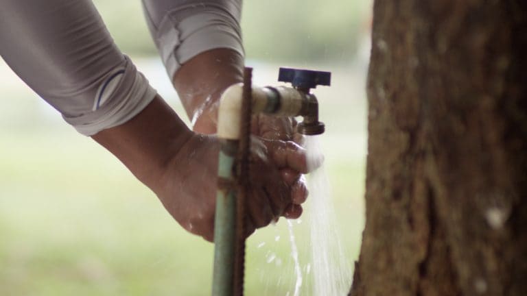 MIASADA y Agua Tica representan a Costa Rica en la final de Premios Verdes 2026
