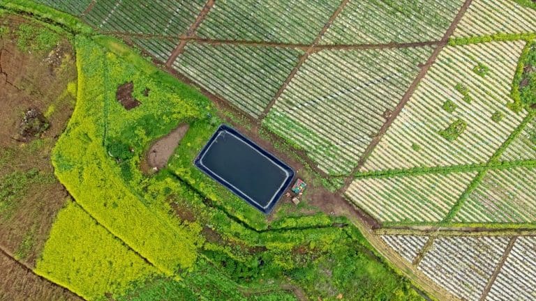 Diputado del PLP propone permitir uso agropecuario de las aguas en patrimonio natural del Estado