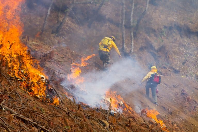 MINAE y SINAC lanzan edición 2021 de la campaña “Un verano sin incendios forestales”