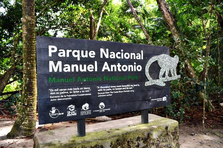 Imagen principal del artículo: Gobierno aumenta a 2500 personas el aforo diario del Parque Manuel Antonio