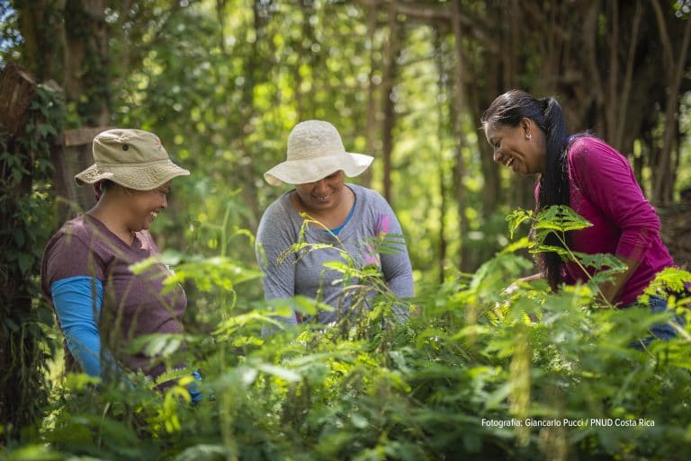 Conservación de bosques permitirá al país invertir $54 millones en acción climática