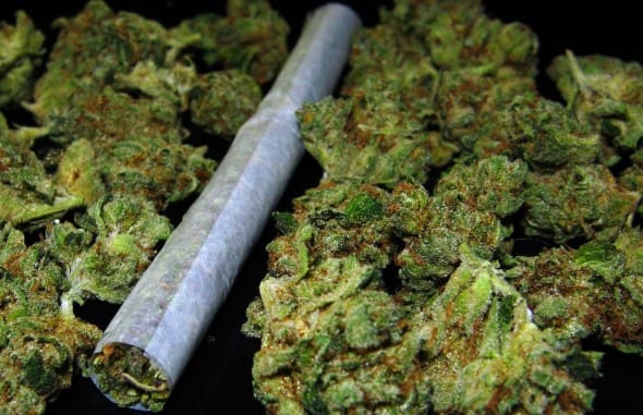 ONU: 200 millones de personas consumieron cannabis en 2019 y su percepción como perjudicial disminuye