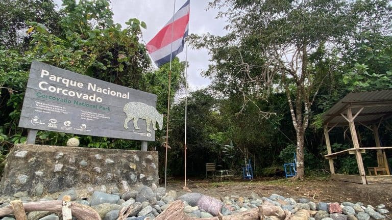 Organizaciones ambientales piden investigar vertidos de aguas residuales en Corcovado y auditar áreas protegidas