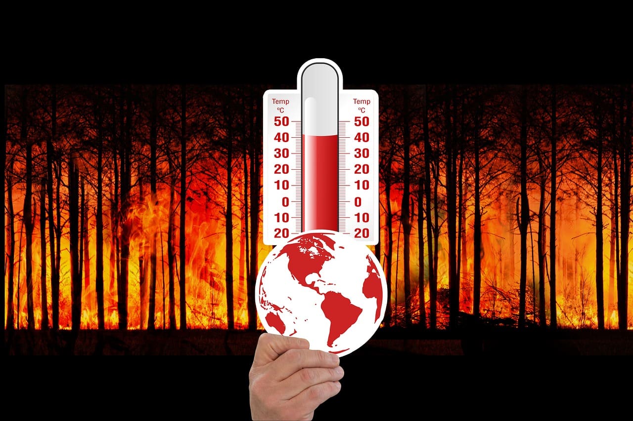 Imagen principal del artículo: El problema del calentamiento global, las causas o consecuencias de un daño irreparable