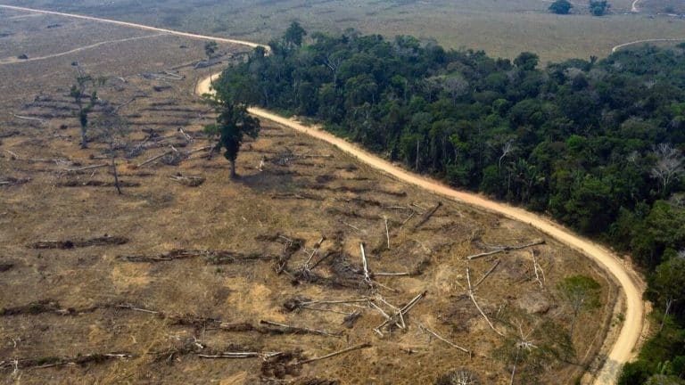 Brasil aprueba proyecto que limita la protección de las tierras indígenas