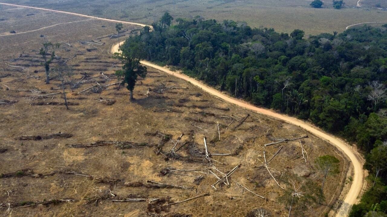 Imagen principal del artículo: Brasil aprueba proyecto que limita la protección de las tierras indígenas