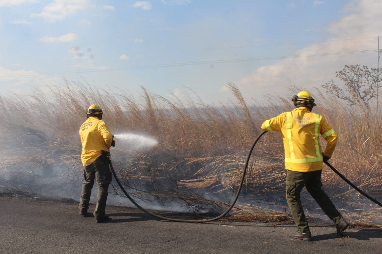 Imagen principal del artículo: Incendios consumen 71 hectáreas entre el Parque Nacional Santa Rosa y el Refugio de Vida Silvestre Iguanita