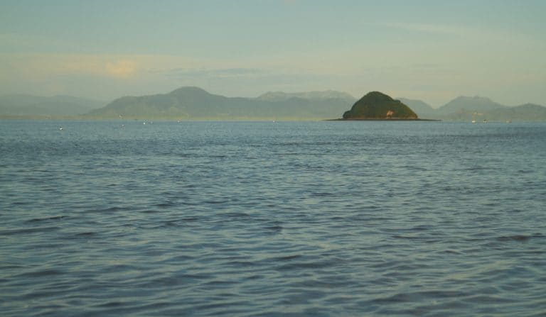 Pescadores artesanales denuncian falta de acompañamiento de Incopesca mientras pesca ilegal crece