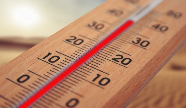Europa arde: las temperaturas más altas de la historia ponen en alerta al continente