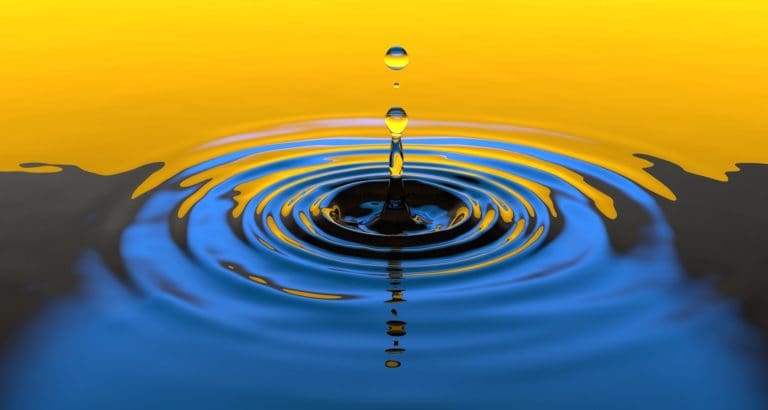 Poemario de la UCR explora la relación entre el agua y la vida