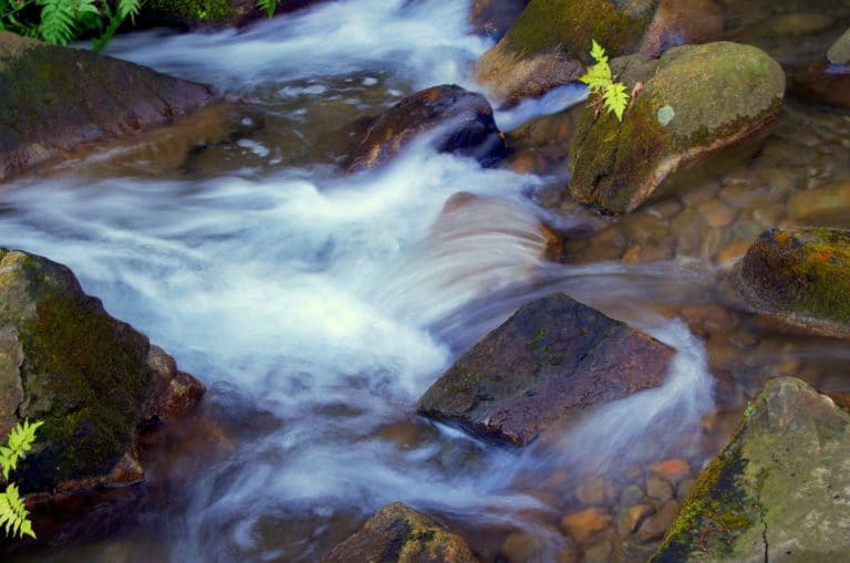 Asadas mejor capacitadas para enfrentar al cambio climático