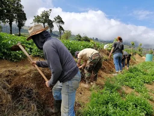 Relator de la ONU sobre formas de esclavitud modernas preocupado por proyecto de jornadas de trabajo de 12 horas
