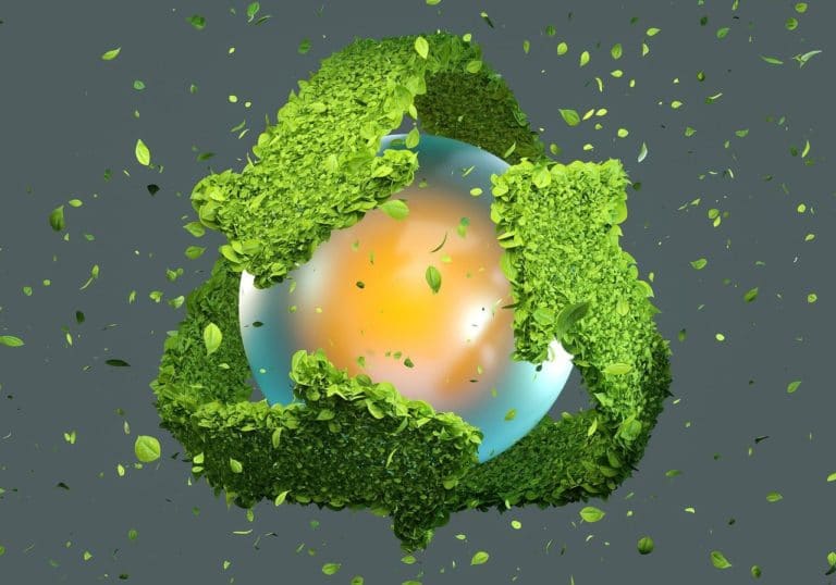 Economía circular: el futuro sostenible