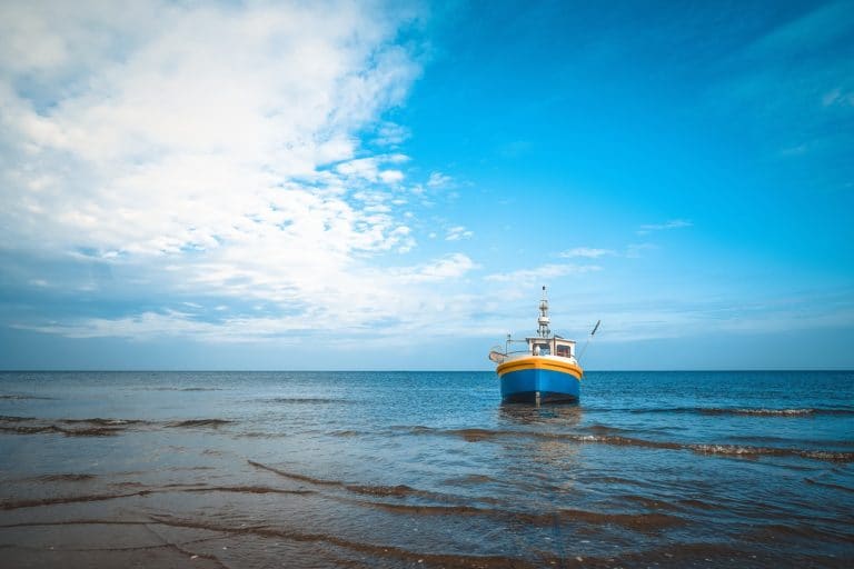 Decisiones de manejo pesquero sin criterio técnico pueden afectar actividades de economía azul en Costa Rica