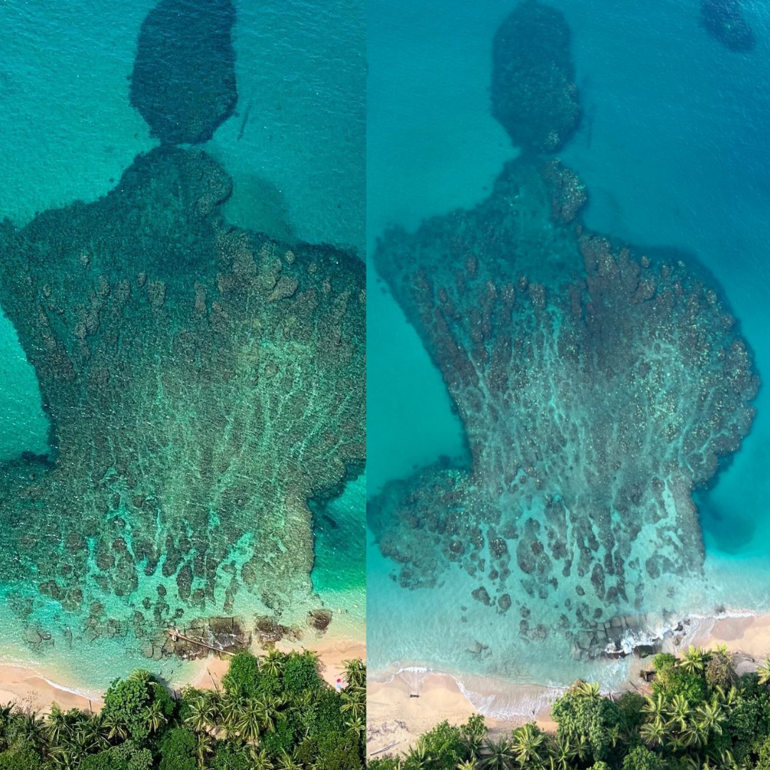 Imagen principal del artículo: Arrecifes de coral del Caribe Sur se encuentran en grave peligro debido a blanqueamiento, alerta organización