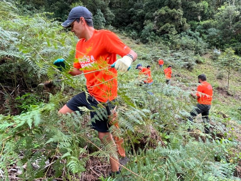 Liberty celebró gran jornada de voluntariado en distintos puntos del país