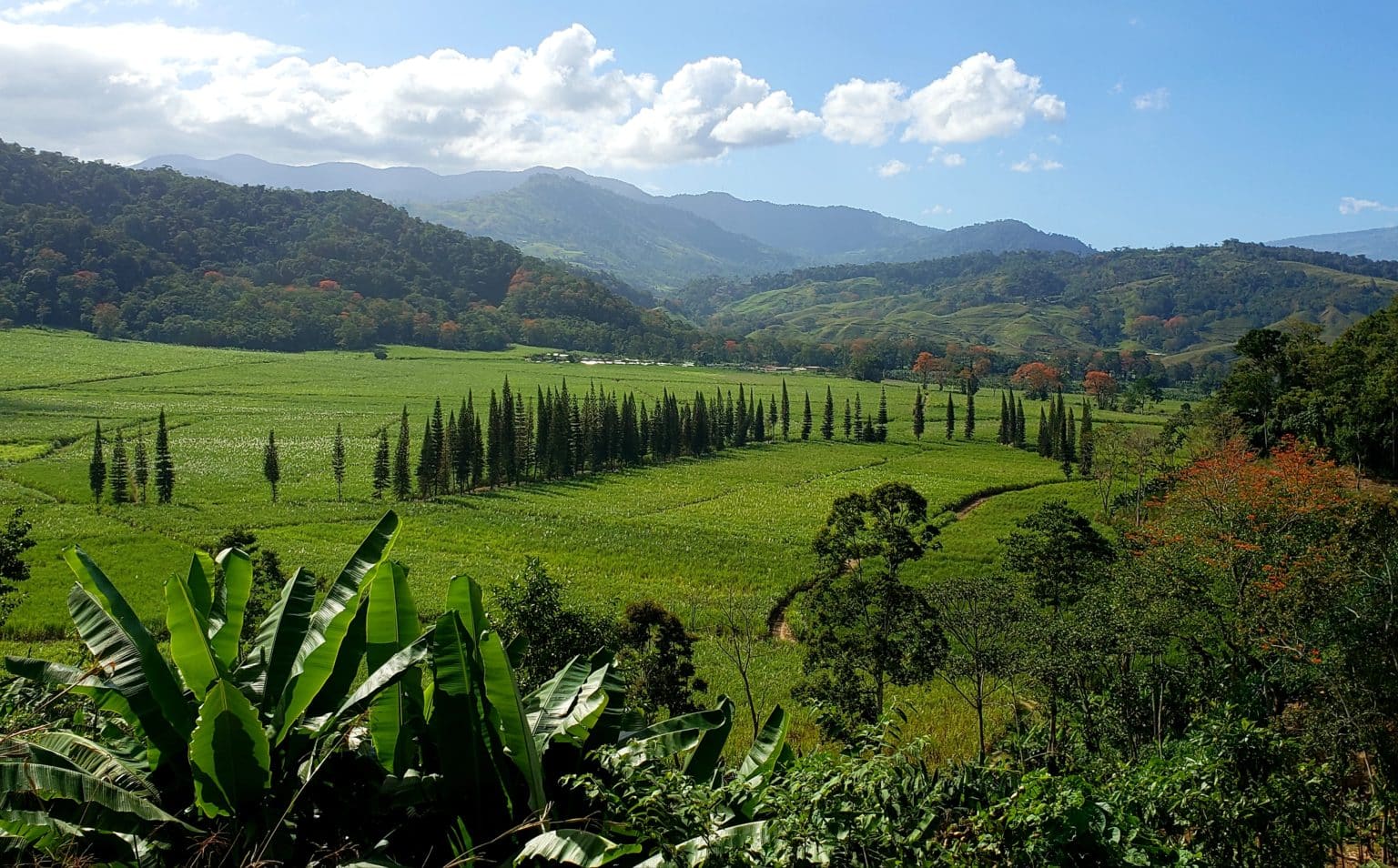 Imagen principal del artículo: New York Times recomienda El Camino de Costa Rica en su guía de destinos 2024