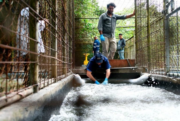 ¿Qué tan peligrosos son los xilenos encontrados en el agua contaminada de la GAM?