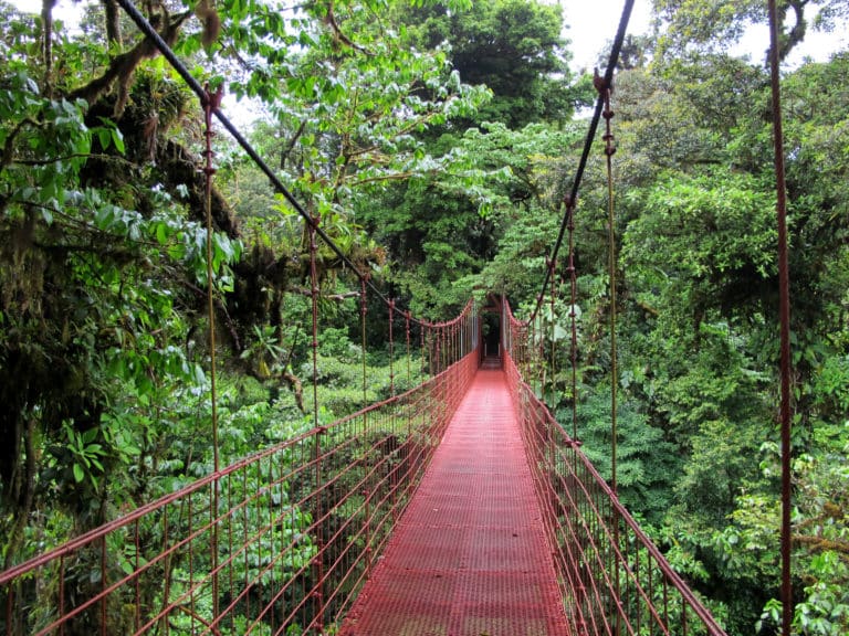 Monteverde: 70% de los habitantes del cantón exigen regular el hospedaje turístico no tradicional