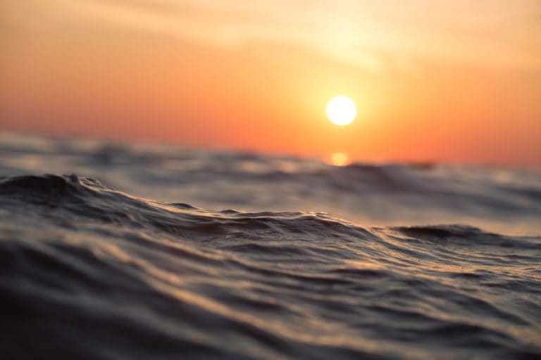 Naufragan millones de dólares en el mar: el desalentador rumbo del proyecto de pesca sostenible en Costa Rica