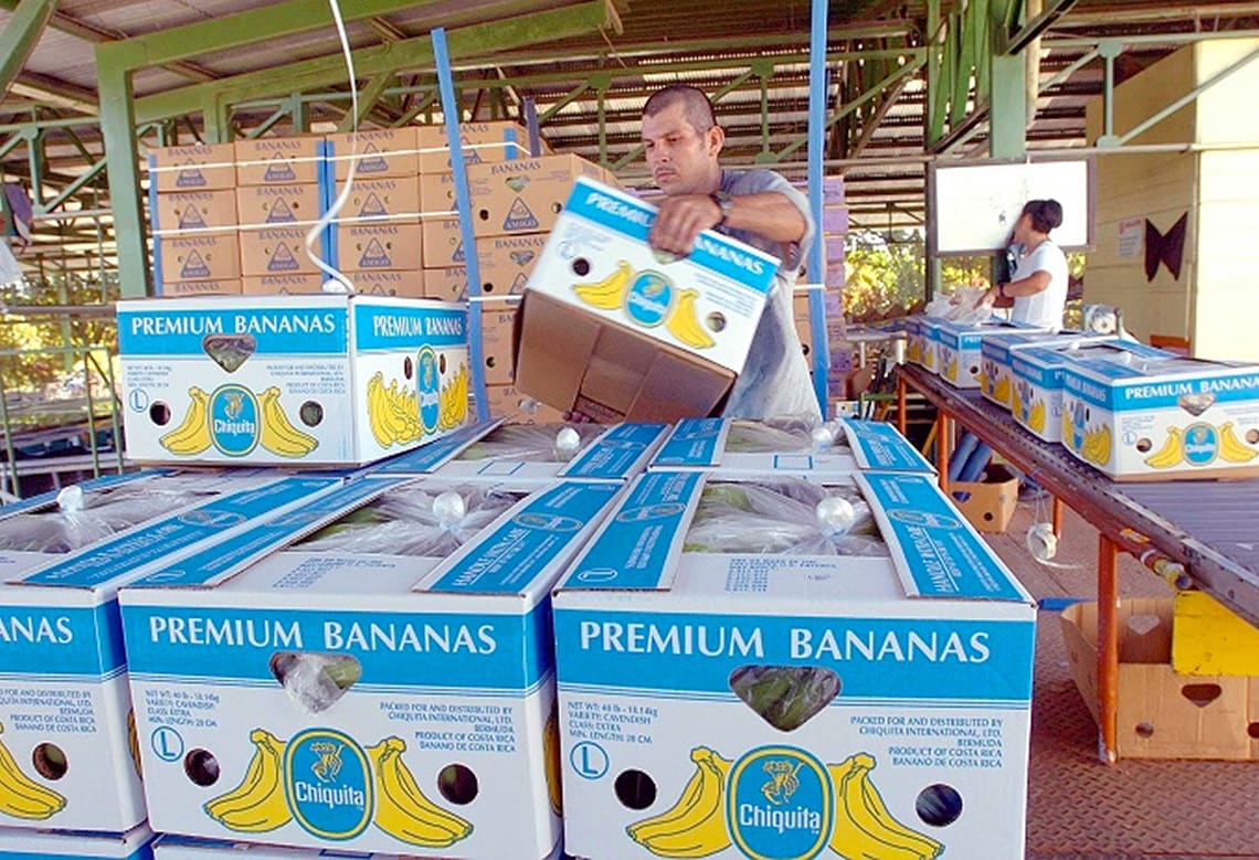Imagen principal del artículo: Aprobado en segundo debate sacar de regla fiscal 1250 millones para cantones productores de banano
