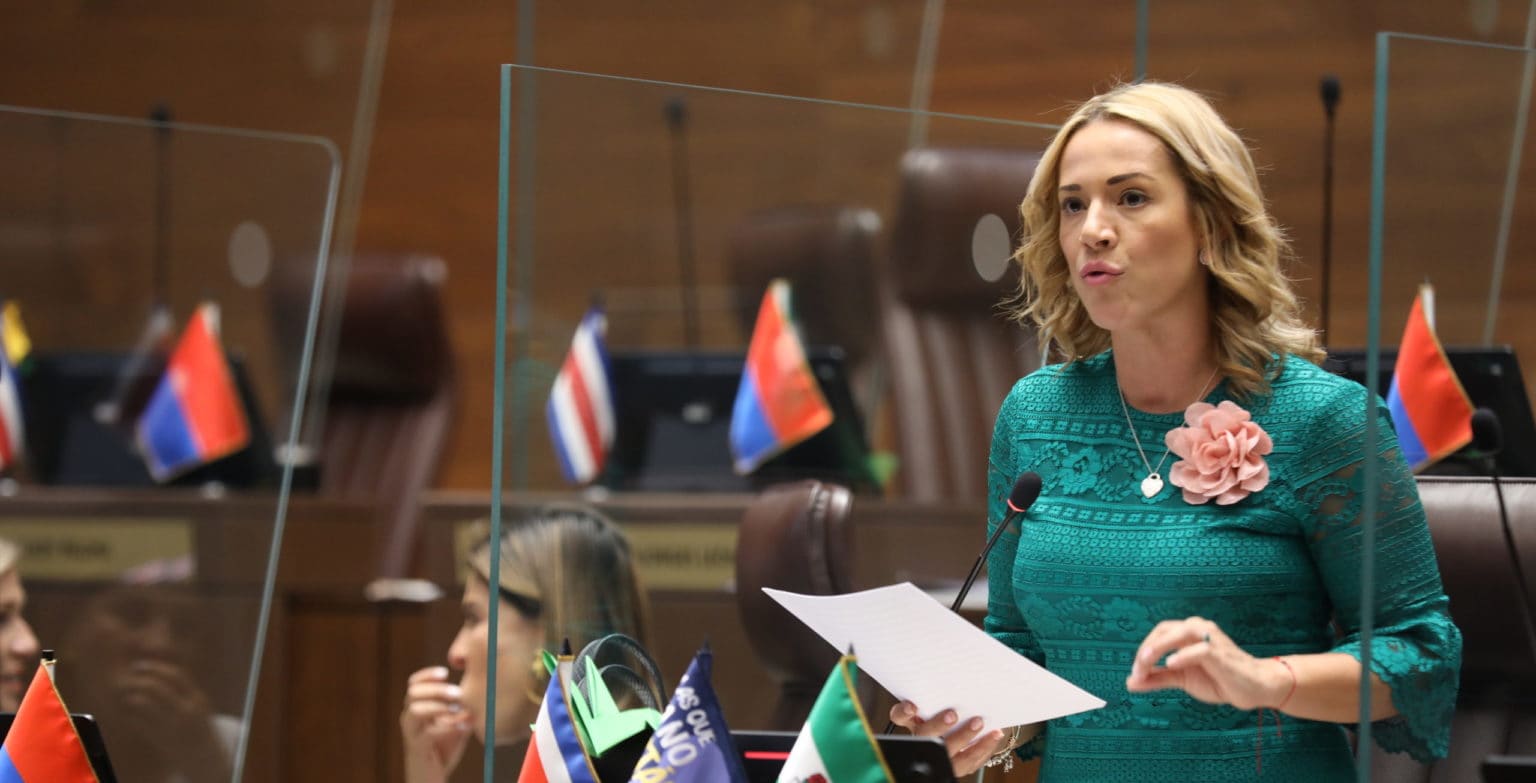 Imagen principal del artículo: Diputada del PLN propone proyecto para proteger el patrimonio de las víctimas de violencia de género y sus herederos