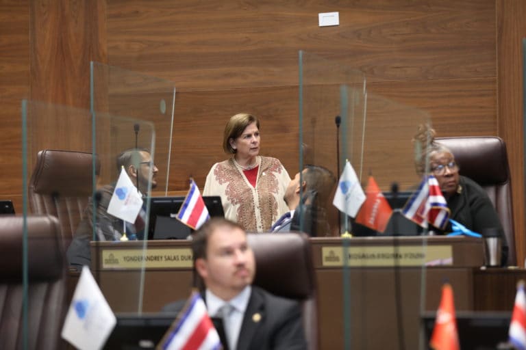 Pilar Cisneros pide bajar ritmo de la Comisión de Seguridad: "He hablado con varios asesores que están fundidos"