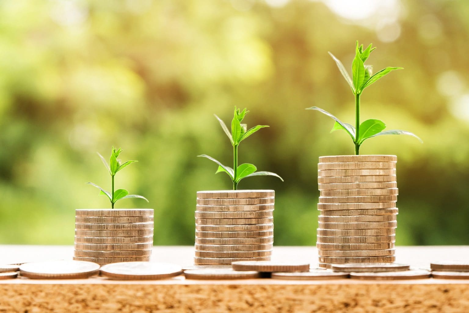 Imagen principal del artículo: Coopenae becará a 200 madres para capacitarlas en finanzas