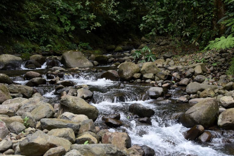 Mario Arias presenta libro sobre la cultura del agua y los Pueblos Originarios en Costa Rica