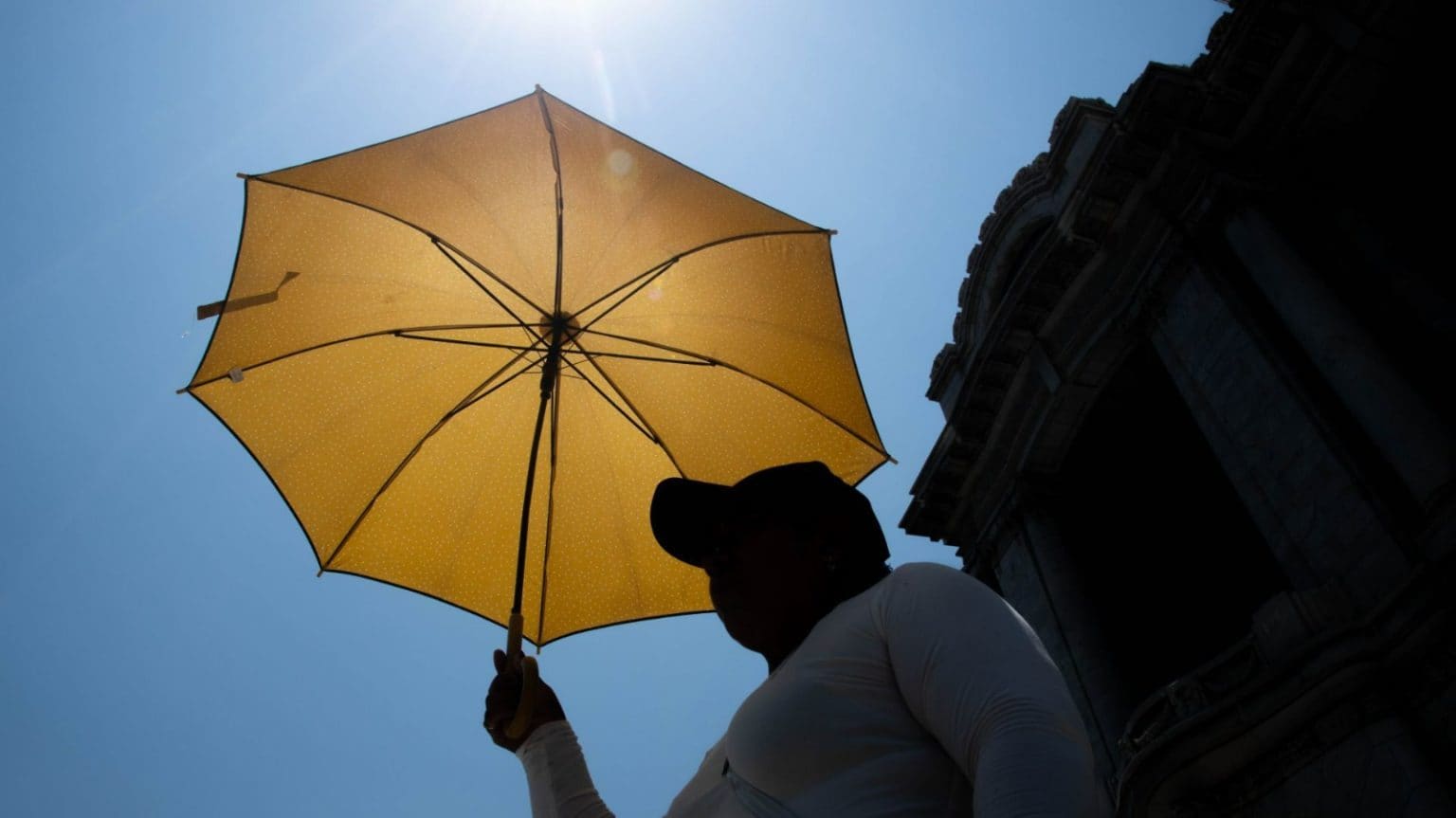 Imagen principal del artículo: Calor sentido en Norteamérica y Centroamérica se multiplicó por 35 debido al cambio climático