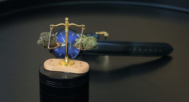 La marihuana y sus enredos