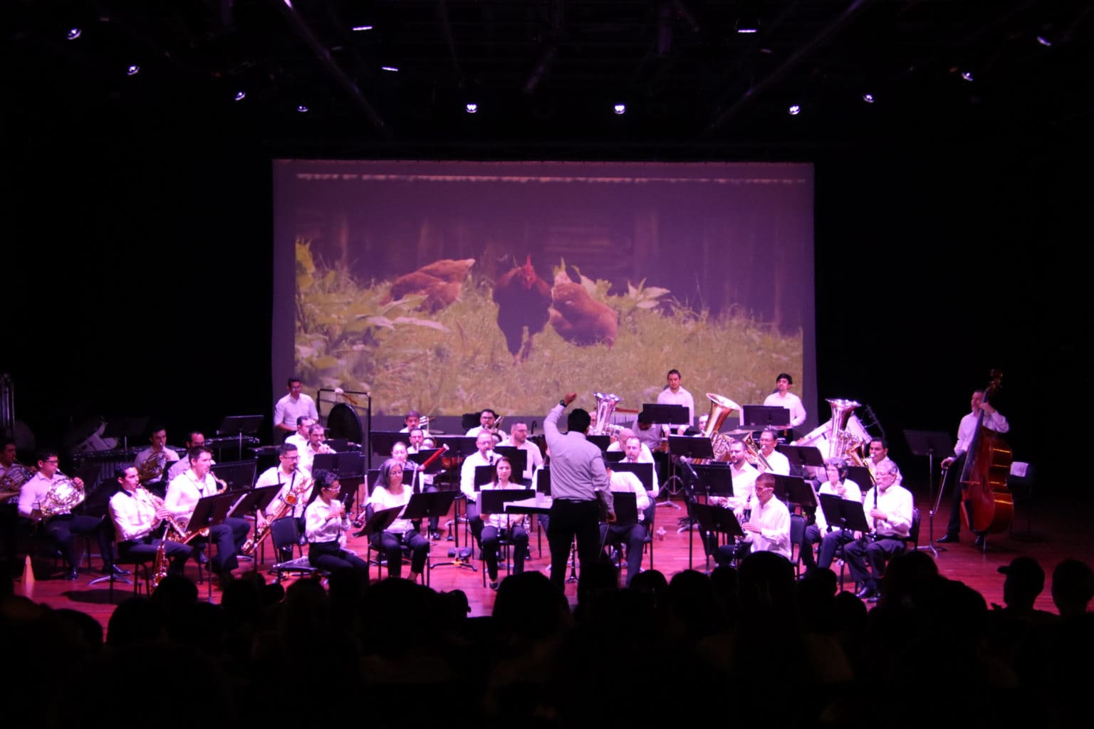 Imagen principal del artículo: Bandas de conciertos ofrecerán música infantil y de películas en el mes de la niñez