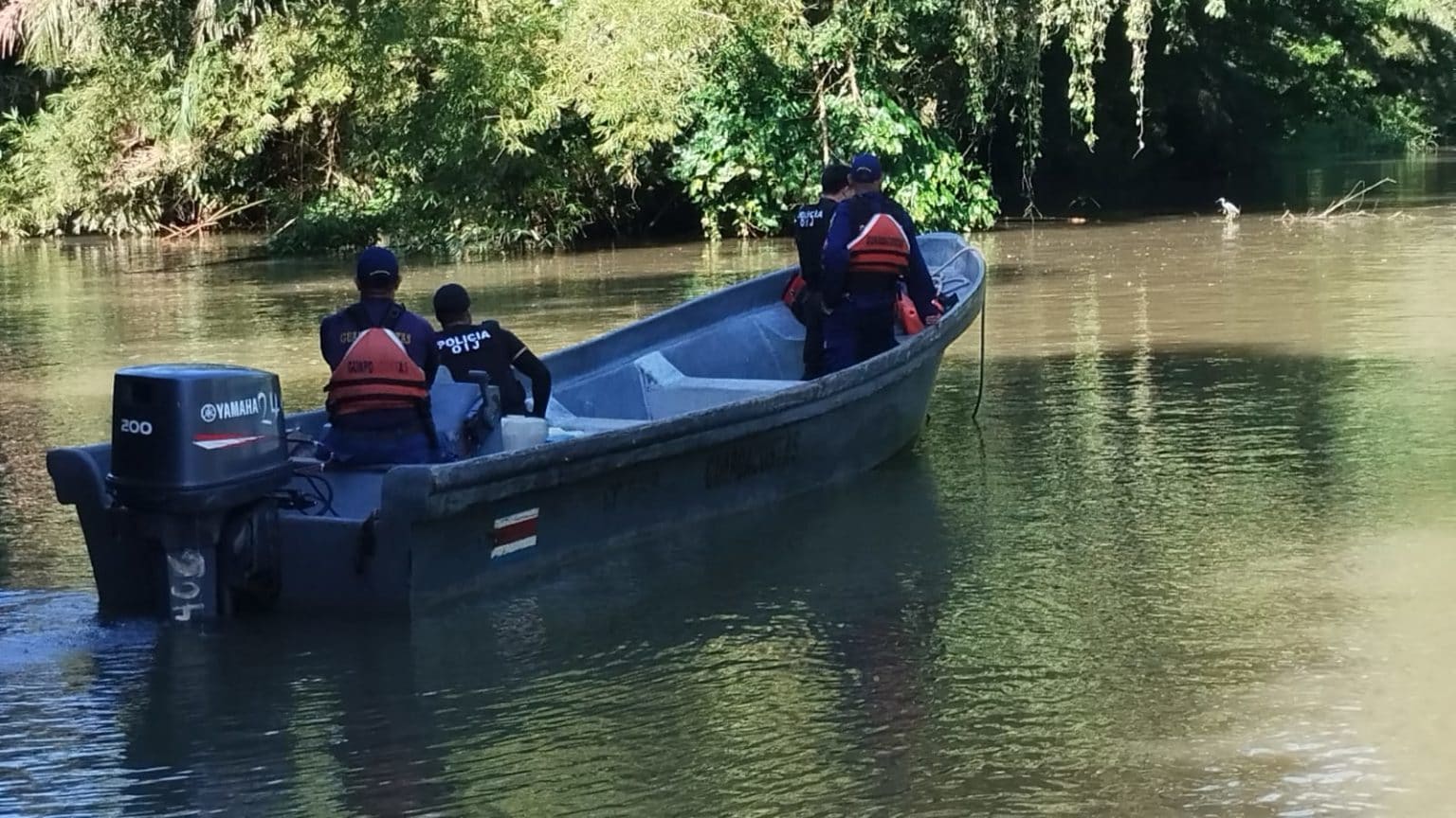 Imagen principal del artículo: OIJ investiga hallazgo de peces muertos en ríos de Limón